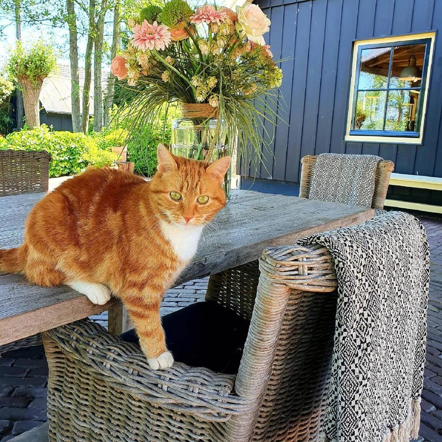 Op Stolk Bed & Breakfast Stolwijk Exteriör bild